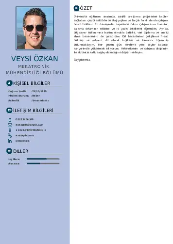 Mekatronik Mühendisliği Cv Örnekleri cv indir